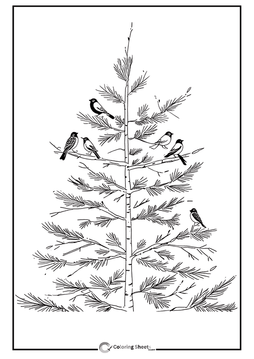 : Birds on Winter Tree Coloring Page - Small birds resting on a snow-covered tree branch