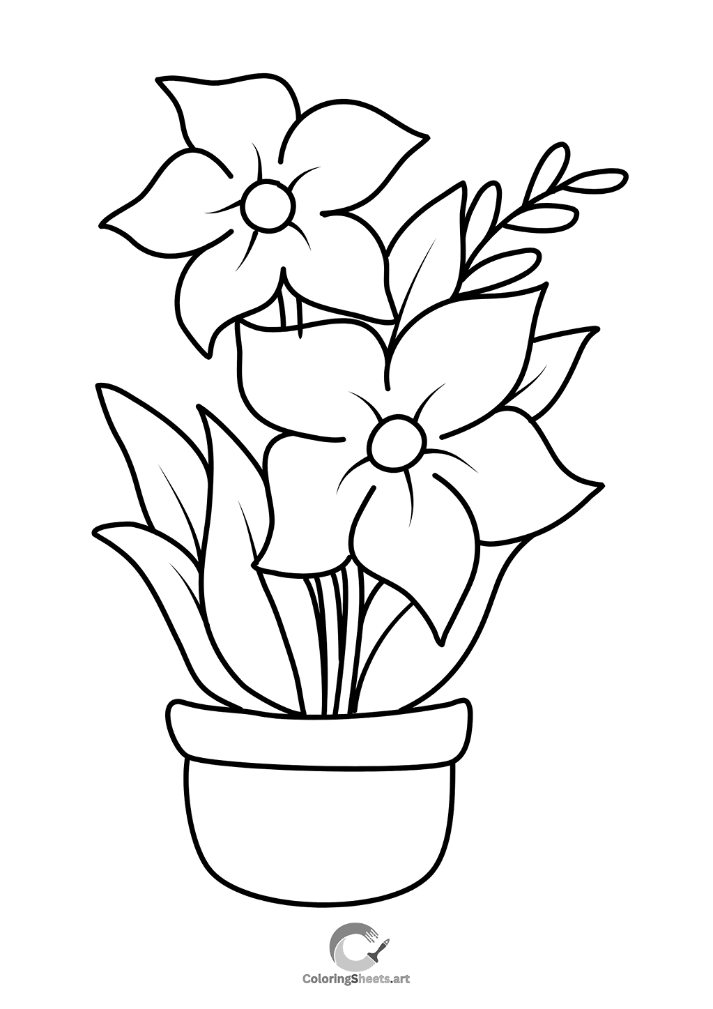 A potted plant with pretty blooming flowers.