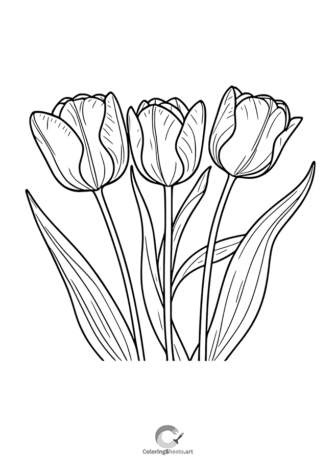 A trio of tulip flowers with long leaves.