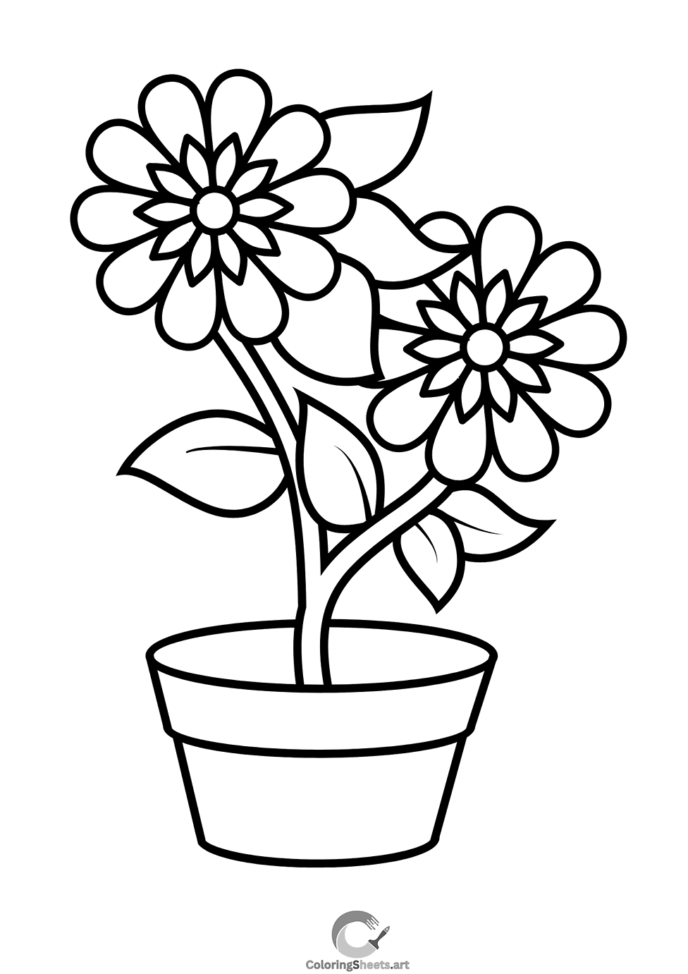 Two beautiful flowers growing from the same pot.