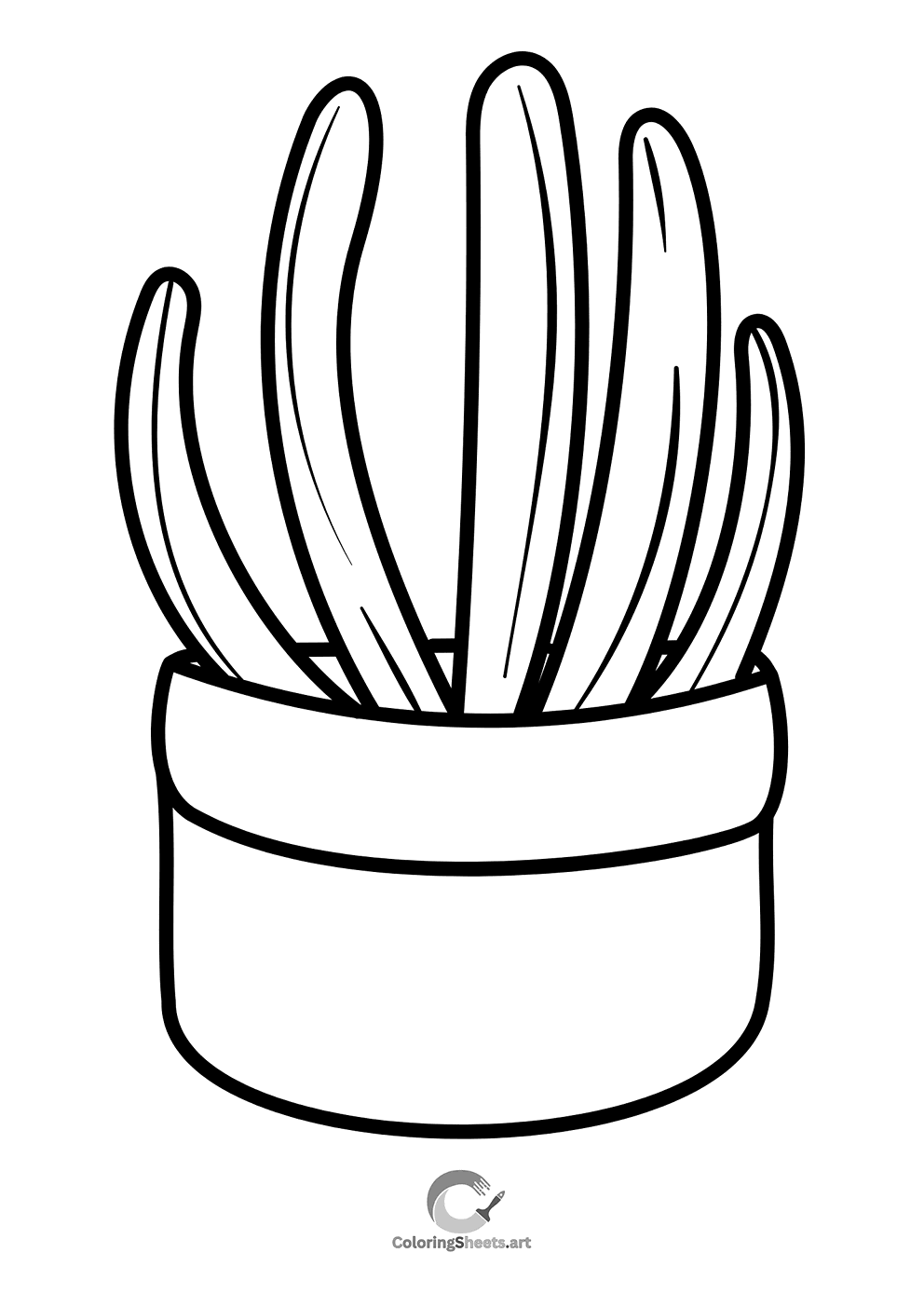 A trendy potted succulent plant.