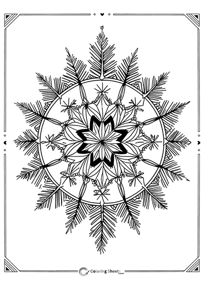 Floral-centered mandala framed by pine branches, perfect for winter coloring.