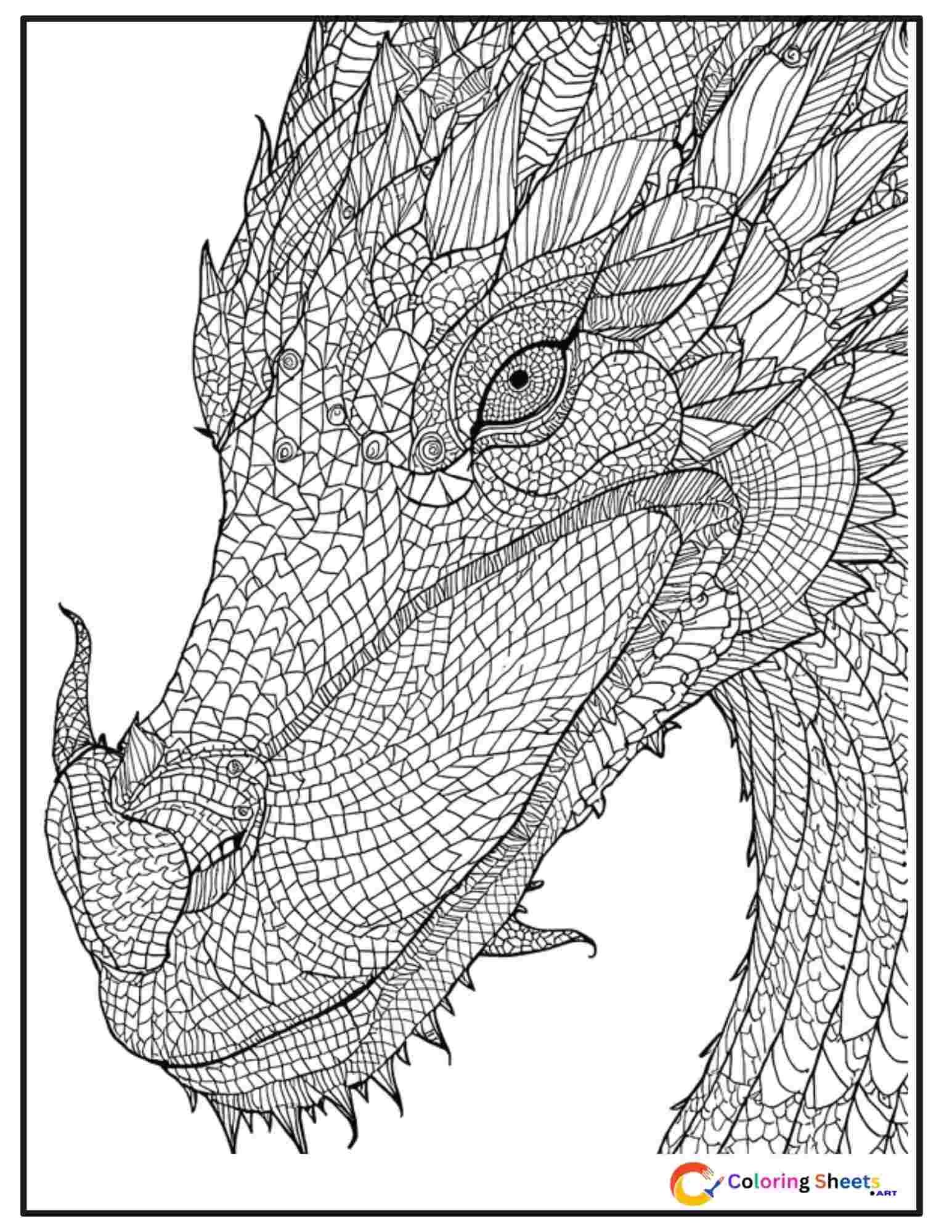 Adult coloring page of a dragon face portrait with every scale replaced by different intricate zentangle patterns of spirals, triangles, and geometric designs