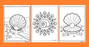 Seashell Coloring Pages | Free Printables for Kids & Adults